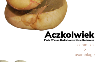 Zapraszamy na wystawę  Pauli Wange-Burkietowicz i Eleny Ovcharowej „Aczkolwiek”  Ceramika x asamblage.